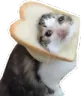 sadtoast