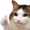 yes