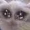 weepy