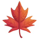 Maple_Leaf