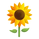 Sunflower Sunflower