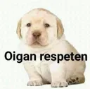 oiganrespeten