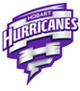 hurricanes Discord emoji
