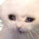 crycat