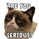 pe_r_u_serious Discord emoji