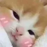 cozy