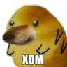 xd