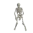 SkeletonPls