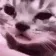 catCRY