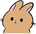 Bunnymood