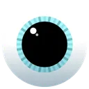 Eye