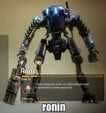 ronin