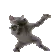 CatDance
