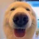 Pog_Dog Discord emoji
