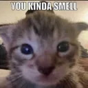 smelly