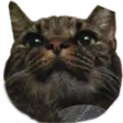 gymPubert gymPubert