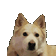 bartuswoof Discord Emoji