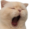 sono Discord emoji