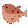blowfish_nodding