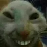 hehehe