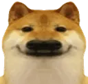 dogsmirkW