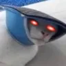 RaidenCat RaidenCat