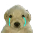 papusad