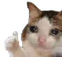 thumbup