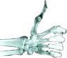 skelethumbsup