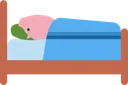 sleepig_accommodation_pig2