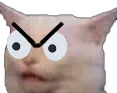 angrycat