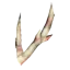 Antler Antler