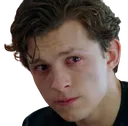 SM_TomSad SM_TomSad