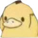 psyduck