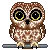 owlomgwat