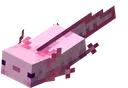 Pink_Axolotl