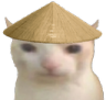 N_Cat_China Discord emoji