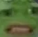 CringeZoom