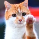 hi