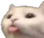 lick Discord emoji