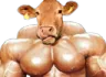 buffcow