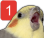 chirp Discord emoji