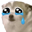 sniffle