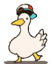duck_dance