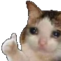 sadCatThumbsUp Discord emoji