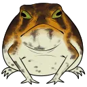 frogfrump Discord Emoji