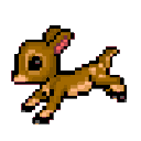 fawnrun