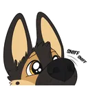 doggo_sniff