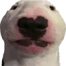 walter walter
