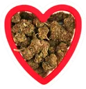 heartweed